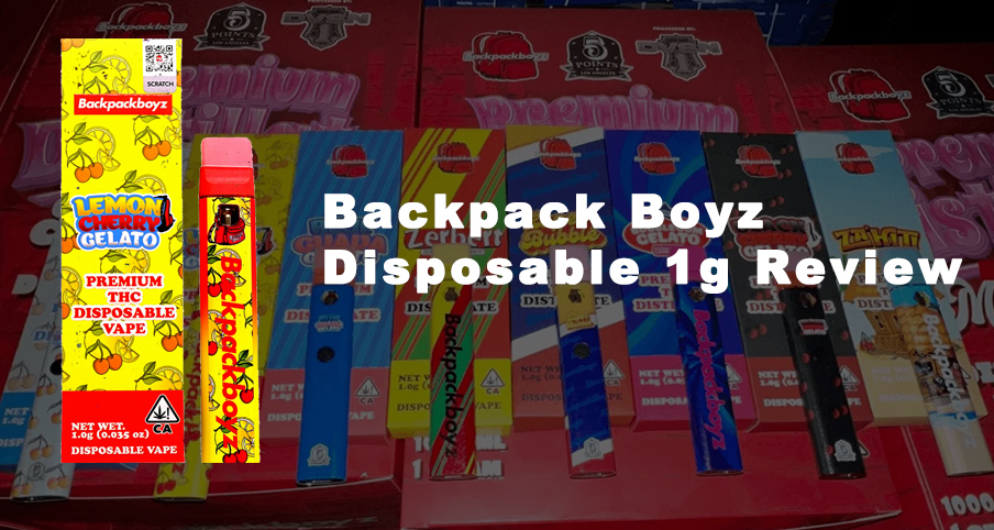 Backpack Boyz Disposable 1g Review