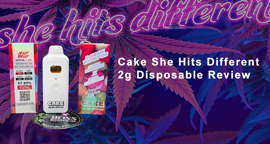 Cake She Hits Different Disposable Vape Pen 2g Empty Carts