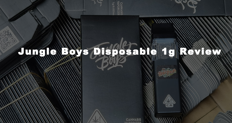 Jungle Boys Disposable 1g Review